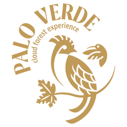 Palo Verde Trails