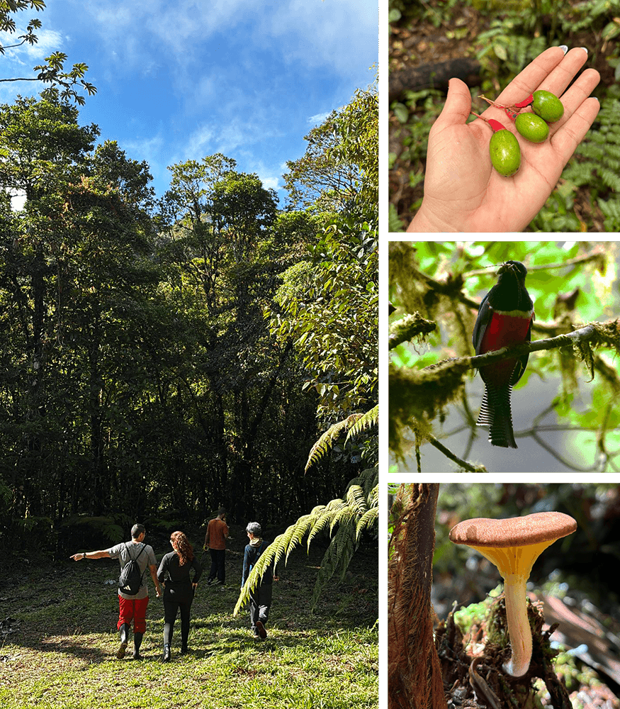 Actividades Palo Verde